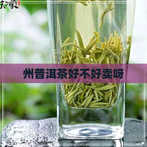 州普洱茶好不好卖呀