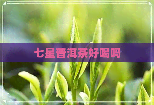 七星普洱茶好喝吗