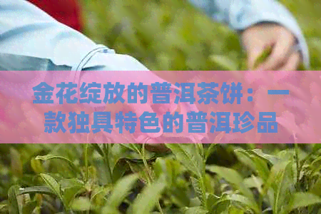 金花绽放的普洱茶饼：一款独具特色的普洱珍品探究