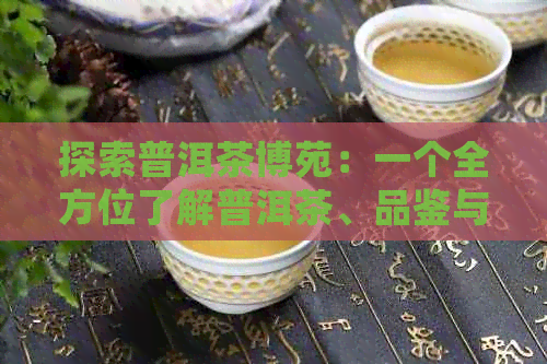 探索普洱茶博苑：一个全方位了解普洱茶、品鉴与文化的宝库