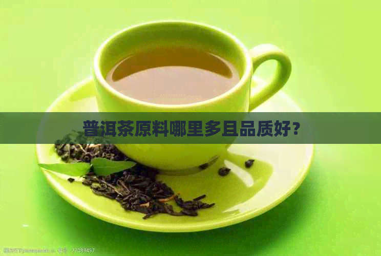 普洱茶原料哪里多且品质好？