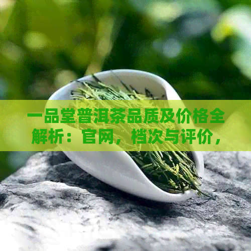 一品堂普洱茶品质及价格全解析：官网，档次与评价，真实体验