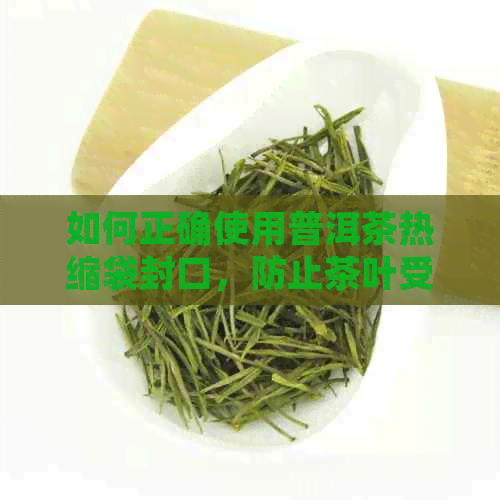 如何正确使用普洱茶热缩袋封口，防止茶叶受潮变质的全面指南