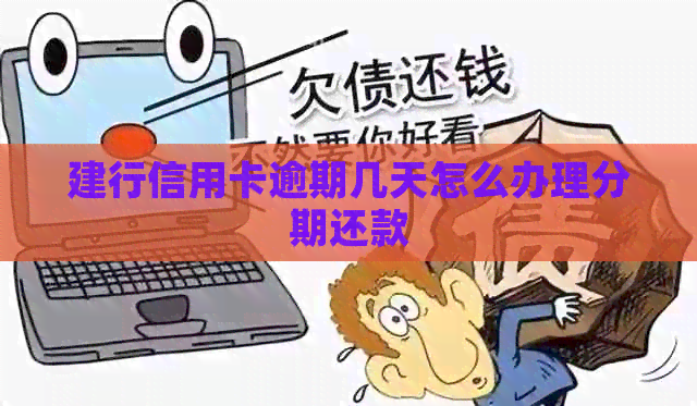 建行信用卡逾期几天怎么办理分期还款