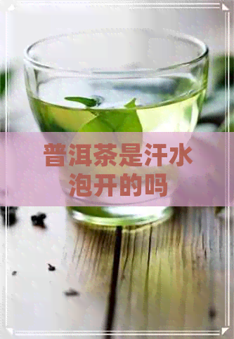 普洱茶是汗水泡开的吗