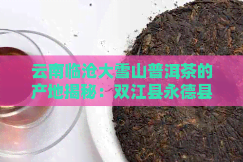 云南临沧大雪山普洱茶的产地揭秘：双江县永德县位于澜沧江流域的独特之地