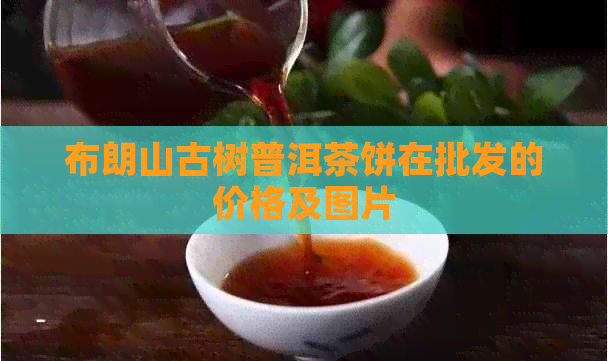 布朗山古树普洱茶饼在批发的价格及图片