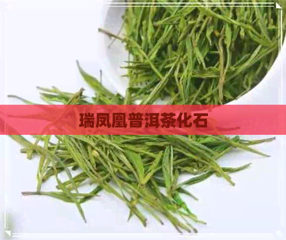 瑞凤凰普洱茶化石