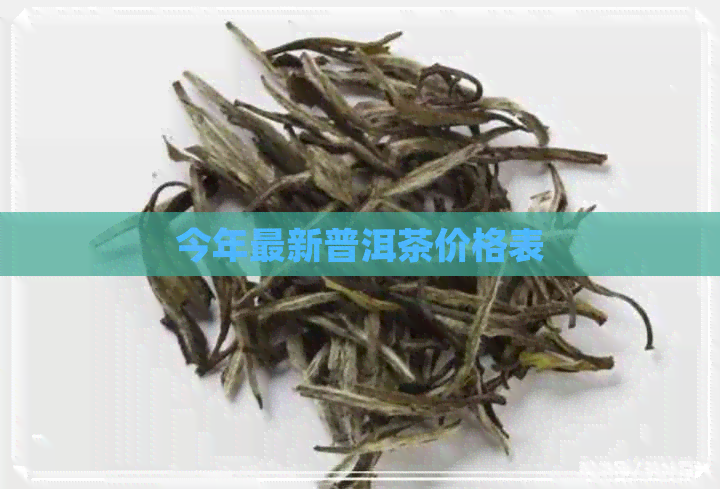 今年最新普洱茶价格表