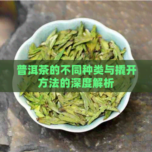 普洱茶的不同种类与撬开方法的深度解析