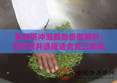 普洱茶冲泡颜色类型解析：如何欣并选择适合自己的茶色？