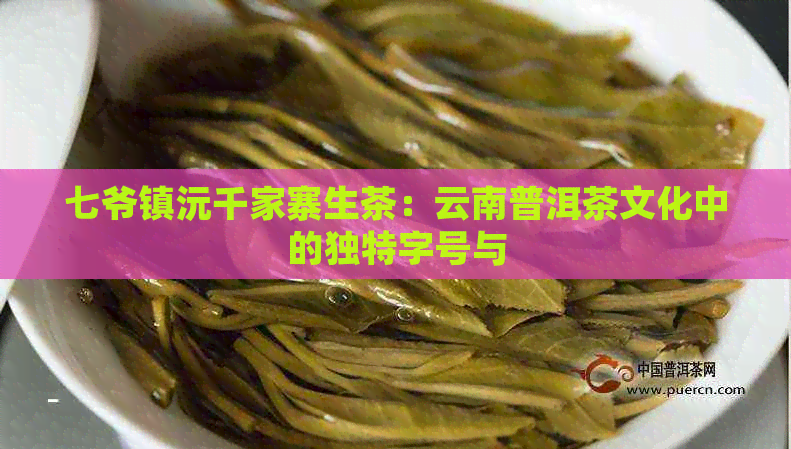 七爷镇沅千家寨生茶：云南普洱茶文化中的独特字号与