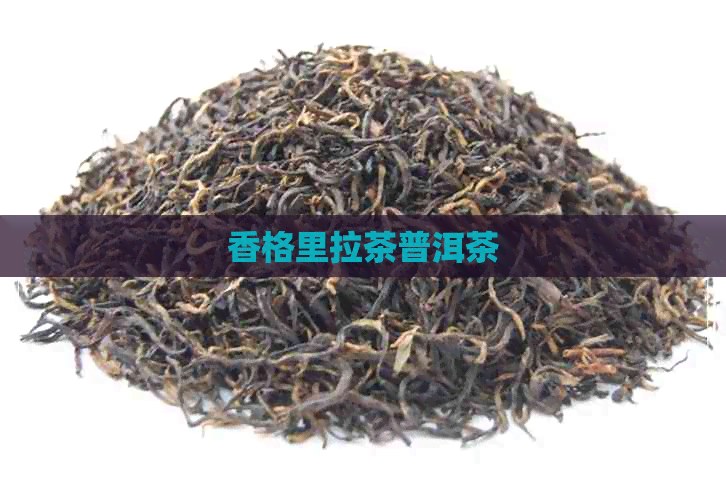 香格里拉茶普洱茶