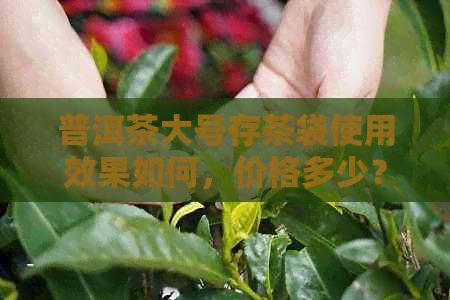 普洱茶大号存茶袋使用效果如何，价格多少？普洱茶存用存茶袋好吗？