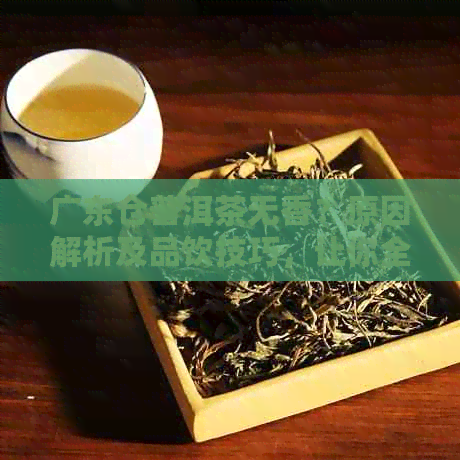 广东仓普洱茶无香？原因解析及品饮技巧，让你全面了解普洱茶香气的重要性