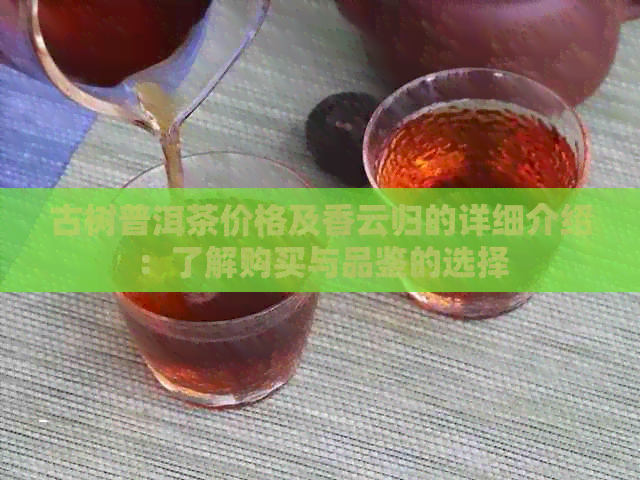 古树普洱茶价格及香云归的详细介绍：了解购买与品鉴的选择