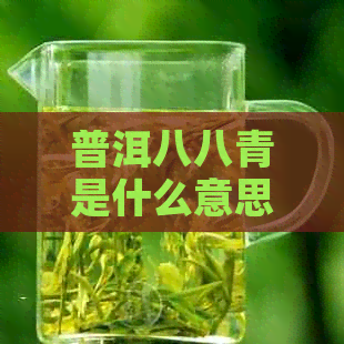 普洱八八青是什么意思？2021年八八青普洱茶价格及中茶普洱茶八八青饼的来历