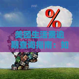 美团生活费逾期查询指南：如何避免影响信用记录？