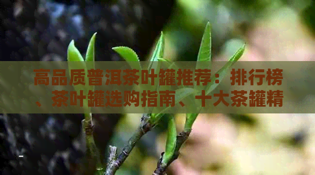 高品质普洱茶叶罐推荐：排行榜、茶叶罐选购指南、十大茶罐精选