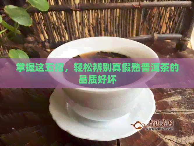 掌握这五招，轻松辨别真假熟普洱茶的品质好坏