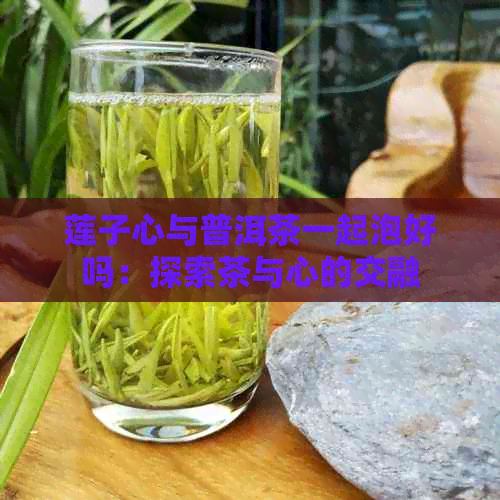 莲子心与普洱茶一起泡好吗：探索茶与心的交融