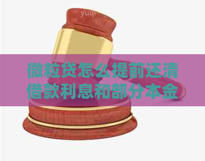 微粒贷怎么提前还清借款利息和部分本金？