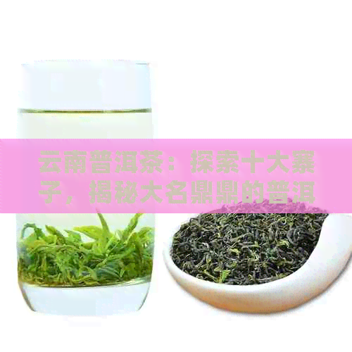 云南普洱茶：探索十大寨子，揭秘大名鼎鼎的普洱茶排名