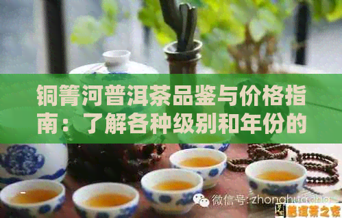 铜箐河普洱茶品鉴与价格指南：了解各种级别和年份的茶叶定价