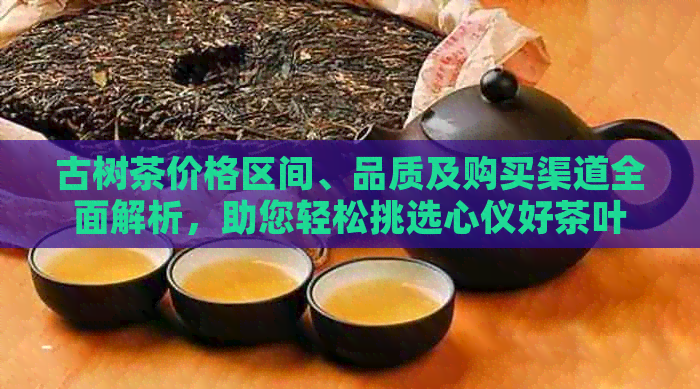 古树茶价格区间、品质及购买渠道全面解析，助您轻松挑选心仪好茶叶
