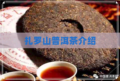 扎罗山普洱茶介绍