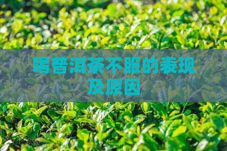 喝普洱茶不服的表现及原因