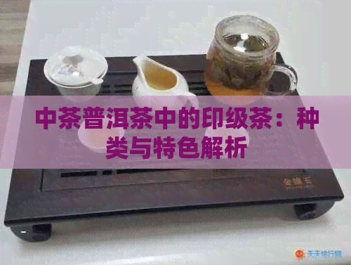 中茶普洱茶中的印级茶：种类与特色解析