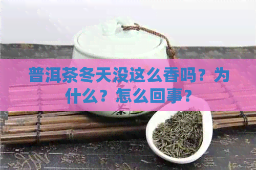 普洱茶冬天没这么香吗？为什么？怎么回事？