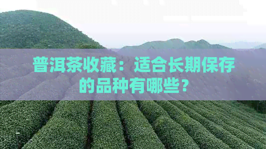 普洱茶收藏：适合长期保存的品种有哪些？