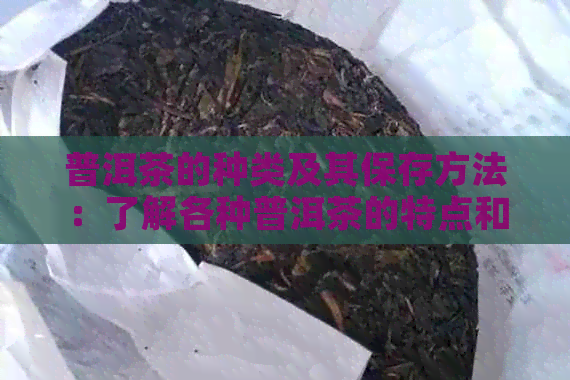 普洱茶的种类及其保存方法：了解各种普洱茶的特点和存技巧