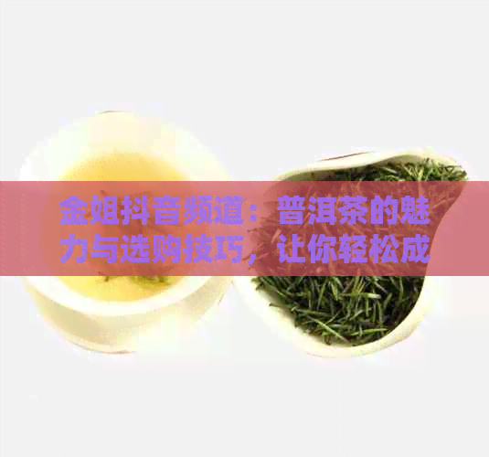 金姐抖音频道：普洱茶的魅力与选购技巧，让你轻松成为茶叶达人