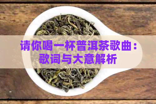 请你喝一杯普洱茶歌曲：歌词与大意解析