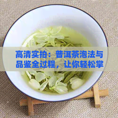 高清实拍：普洱茶泡法与品鉴全过程，让你轻松掌握普洱茶冲泡技巧与口感体验