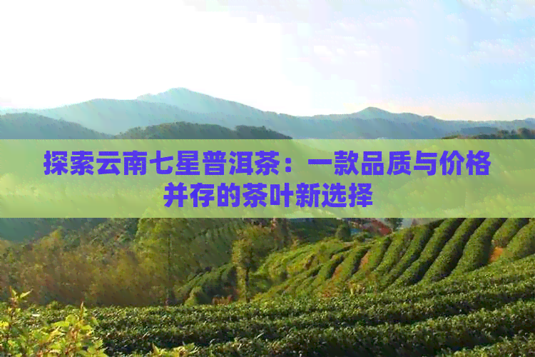 探索云南七星普洱茶：一款品质与价格并存的茶叶新选择