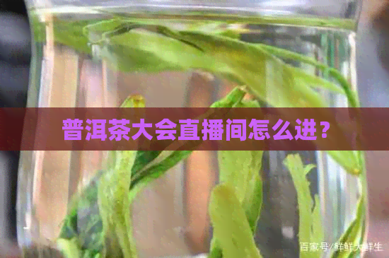 普洱茶大会直播间怎么进？