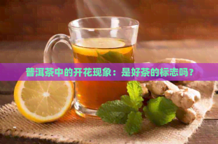 普洱茶中的开花现象：是好茶的标志吗？