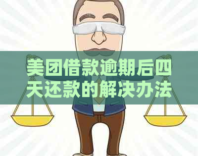 美团借款逾期后四天还款的解决办法：如何避免类似情况再次发生