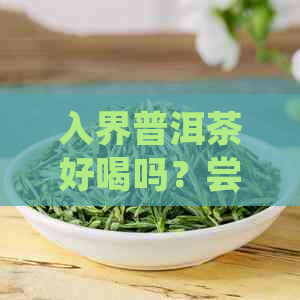 入界普洱茶好喝吗？尝过的人有什么感受？