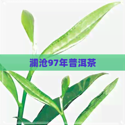 澜沧97年普洱茶