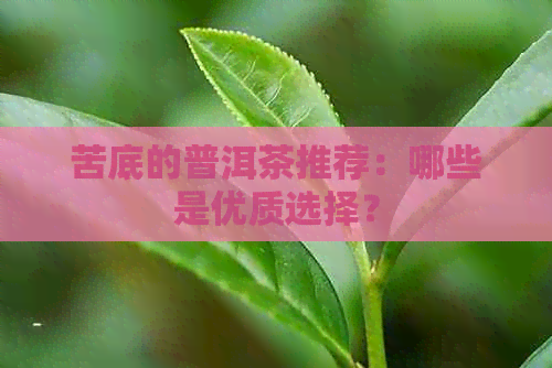 苦底的普洱茶推荐：哪些是优质选择？