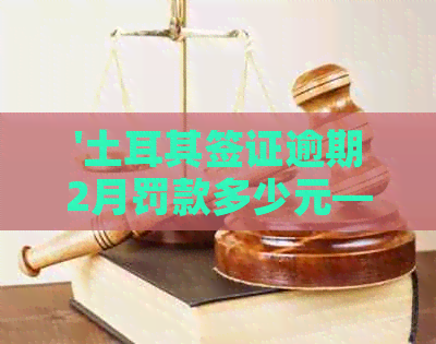 '土耳其签证逾期2月罚款多少元——逾期半年、滞留三个月的相关罚款解析'