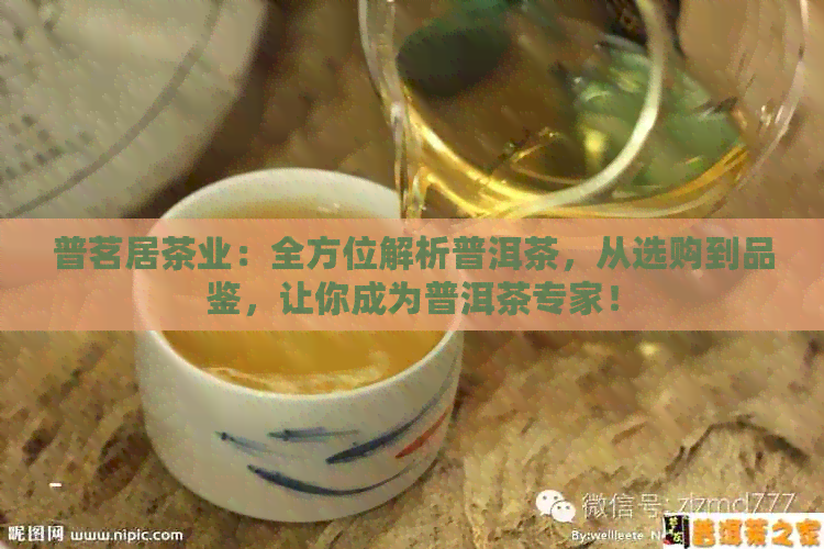 普茗居茶业：全方位解析普洱茶，从选购到品鉴，让你成为普洱茶专家！