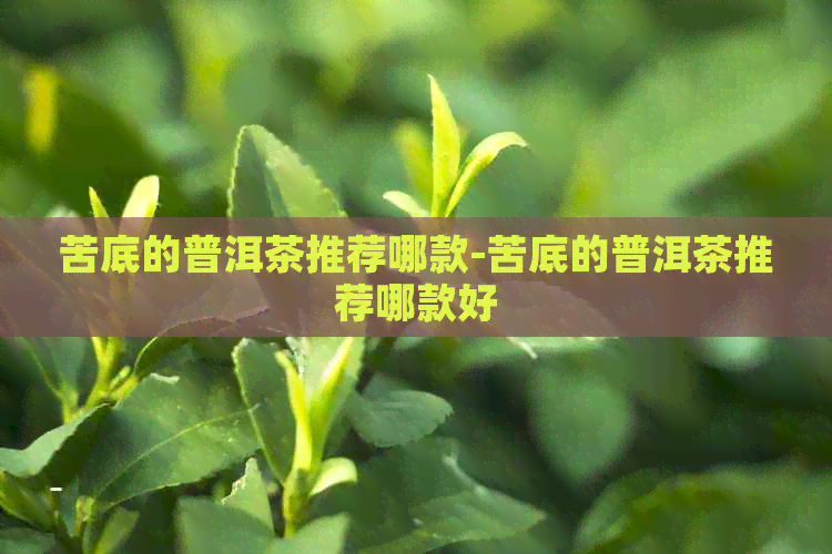 苦底的普洱茶推荐哪款-苦底的普洱茶推荐哪款好