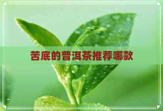 苦底的普洱茶推荐哪款