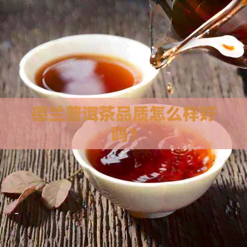 德兰普洱茶品质怎么样好吗？